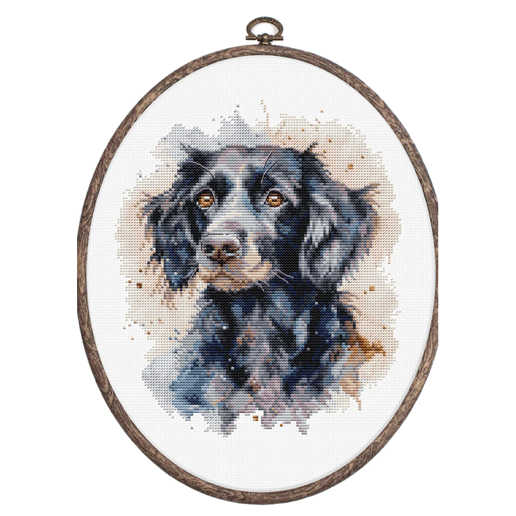 (image for) The Border Collie